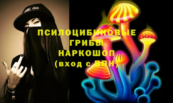 Альфа ПВП Майский