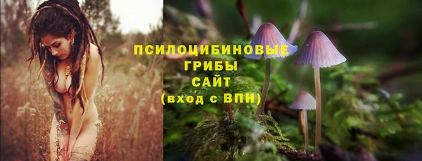 ECSTASY Медногорск