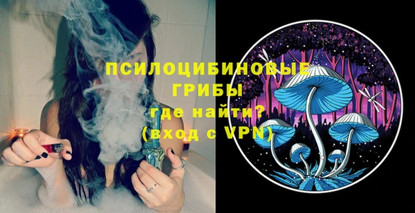 ECSTASY Медногорск