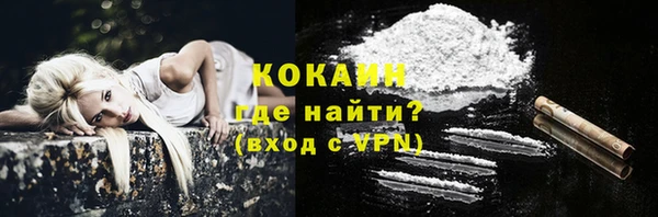 дмт Мегион